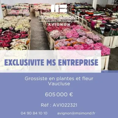 Vente - Fleuriste - Vaucluse (84)-photo-2
