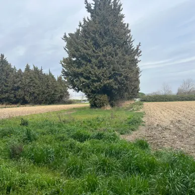 Vente Terrain ZI / ZA - Vaucluse (84)-photo-8