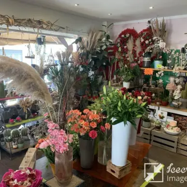 Vente - Fleuriste - Martigues (13500)-photo-6