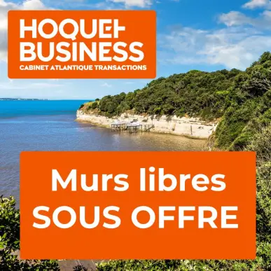 Vente de murs de boutique - Charente-Maritime (17)-photo-1