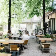 Vente - Bar - Restaurant - Rhône (69)