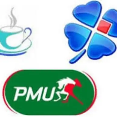 Vente - Bar - FDJ - Loto - PMU - Calvados (14)-photo-6