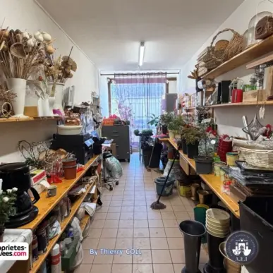 Vente - Fleuriste - Isère (38)-photo-8