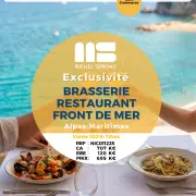 Vente - Bar - Brasserie - Restaurant - Licence IV - Alpes-Maritimes (06)