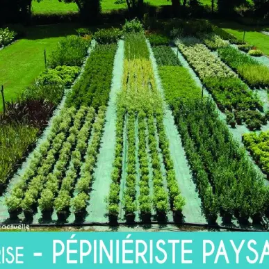 Vente - Jardinerie - Mouilleron-le-Captif (85000)-photo-5