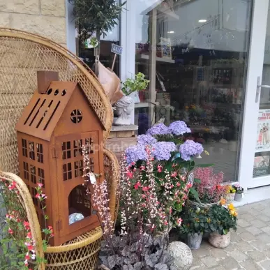 Vente - Décoration - Fleuriste - Ouistreham (14150)-photo-3
