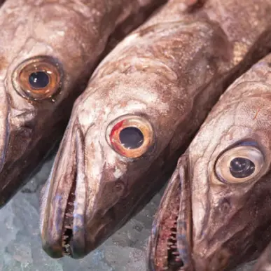 Vente - Poissonnerie - Ain (01)-photo-1