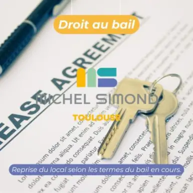 Location Local Commercial - Haute-Garonne (31)-photo-1