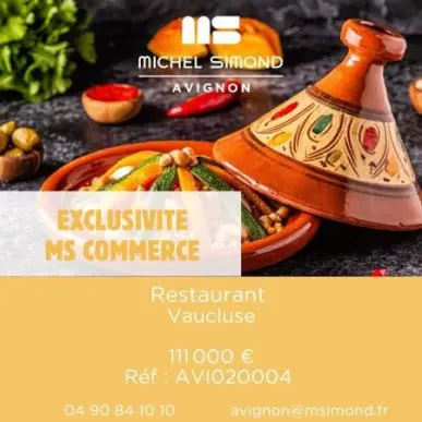 Vente - Hôtel - Restaurant - Restaurant à thème - Café - Vaucluse (84)-photo-8
