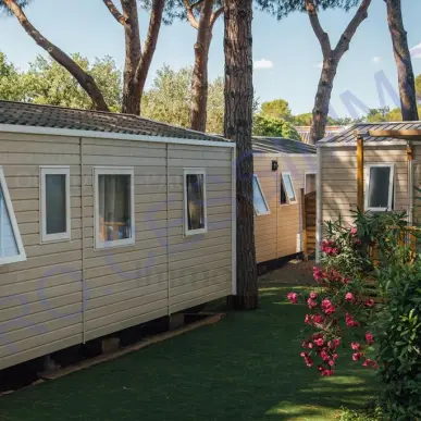 Vente - Camping - Ardèche (07)-photo-3