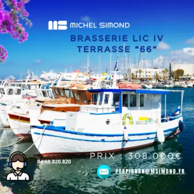 Vente - Brasserie - Licence IV - Pyrénées-Orientales (66)-photo-1