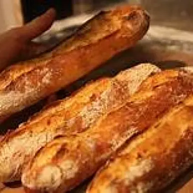 Vente - Pâtisserie - Terminal de cuisson - Aude (11)-photo-1