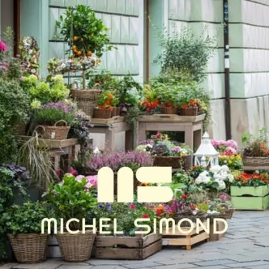 Vente - Cadeaux souvenirs - Fleuriste - Calvados (14)-photo-1