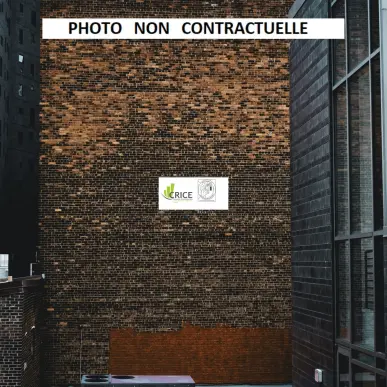 Vente de murs de boutique - Charente-Maritime (17)-photo-3
