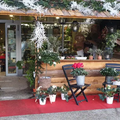 Vente - Décoration - Fleuriste - Jardinerie - Saint-Laurent-des-Arbres (30126)-photo-4