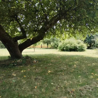 Vente Terrain ZI / ZA - Chevry-en-Sereine (77710)-photo-8