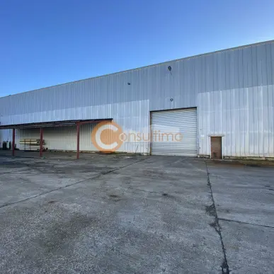 Vente Entrepôt / Local d'activités - Agen (47000)-photo-8