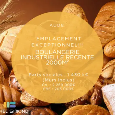 Vente - Boulangerie - Pâtisserie - Aude (11)-photo-1