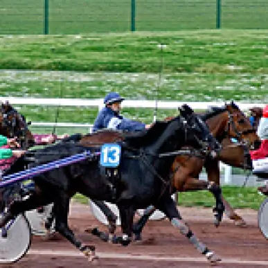 Vente - Bar - Loto - PMU - Presse - Nord (59)-photo-7
