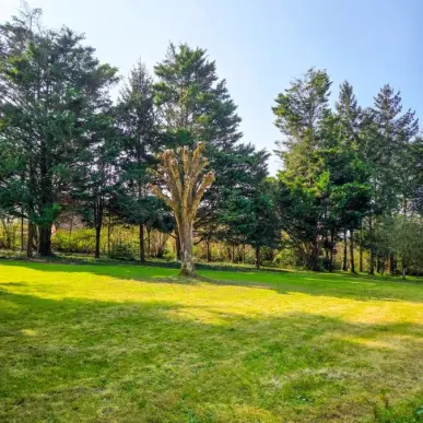 Vente Terrain ZI / ZA - Le Mans (72000)-photo-4