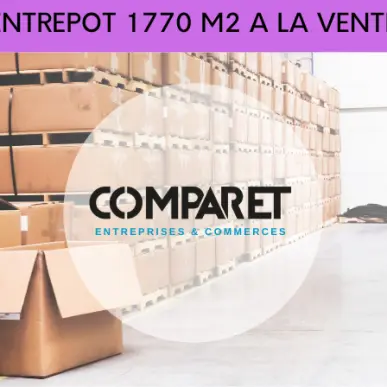 Vente Entrepôt / Local d'activités - Amancy (74800)-photo-2