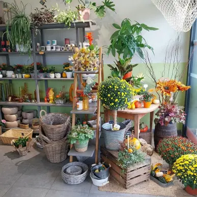 Vente - Décoration - Fleuriste - Charente-Maritime (17)-photo-4