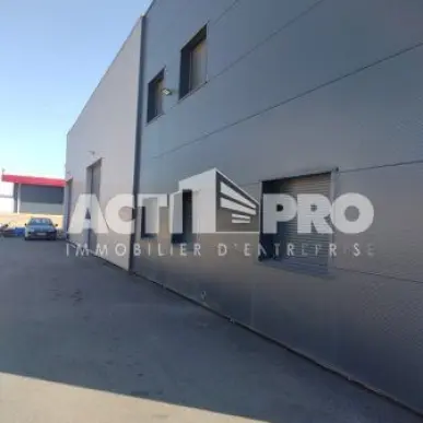 Vente Entrepôt / Local d'activités - Perpignan (66000)-photo-8