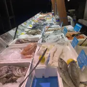 Vente - Poissonnerie - Villeurbanne (69100)
