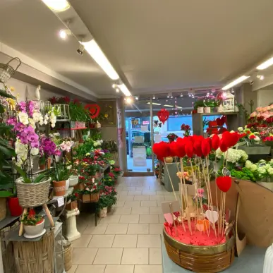 Vente - Fleuriste - Rouen (76100)-photo-3