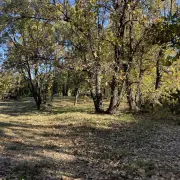 Vente Terrain ZI / ZA - Lorgues (83510)