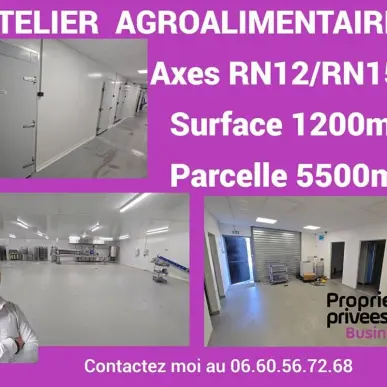 Vente Entrepôt / Local d'activités - Eure-et-Loir (28)-photo-5