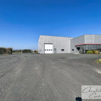 Location Entrepôt / Local d'activités - Bueil-en-Touraine (37370)-photo-10