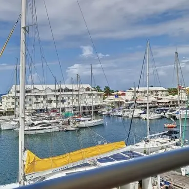 Vente - Hôtel - Guadeloupe (971)-photo-6