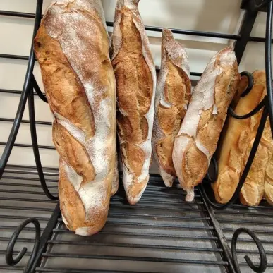Vente - Boulangerie - Pâtisserie - Rochefort (17300)-photo-6
