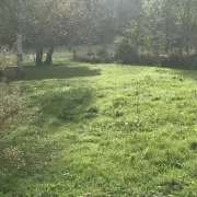 Vente Terrain ZI / ZA - Ardiège (31210)