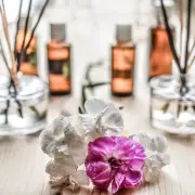 Vente - Onglerie - Rhône (69)