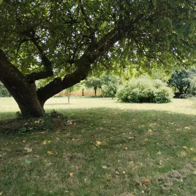 Vente Terrain ZI / ZA - Chevry-en-Sereine (77710)-photo-4