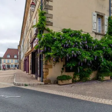 Vente - Boucherie - Charcuterie - Traiteur - Angous (64190)-photo-6