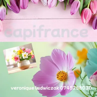 Vente - Fleuriste - Nord (59)-photo-3