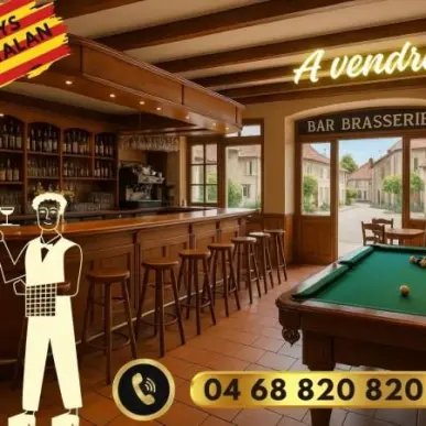 Vente - Bar - Brasserie - Licence IV - Pyrénées-Orientales (66)-photo-2