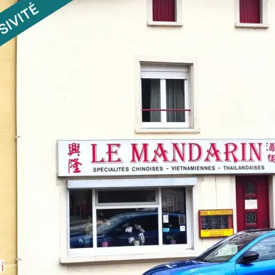 Location Local Commercial - Ahéville (88500)-photo-2
