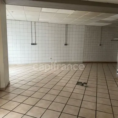 Location Local Commercial - Maxeville (54320)-photo-7