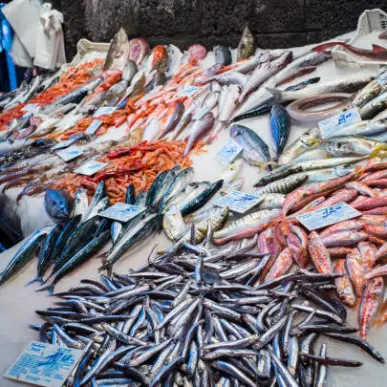 Vente - Epicerie - Poissonnerie - Traiteur - Gironde (33)-photo-2