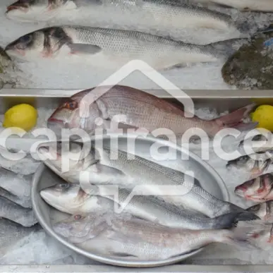 Vente - Poissonnerie - Royan (17200)-photo-4