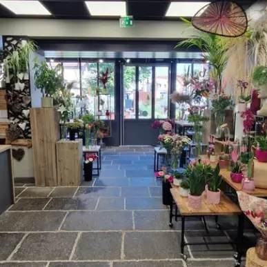 Vente - Fleuriste - Puy-de-Dôme (63)-photo-2