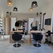 Vente - Esthétique - La Bosse-de-Bretagne (35320)