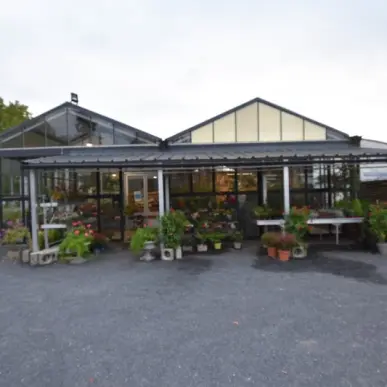 Vente - Fleuriste - Digoin (71160)-photo-1