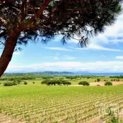 Vente de murs de boutique - Var (83)
