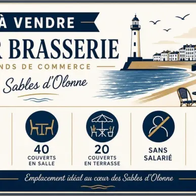 Vente - Pressing - Les Sables-d'Olonne (85100)-photo-5