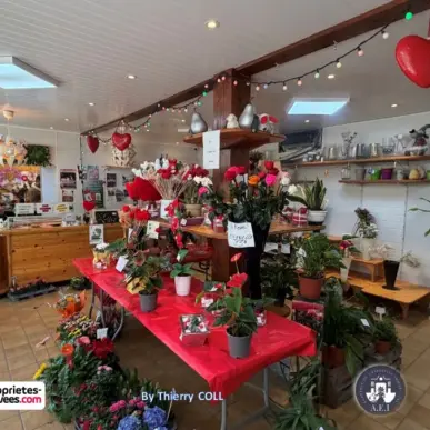 Vente - Fleuriste - Isère (38)-photo-5